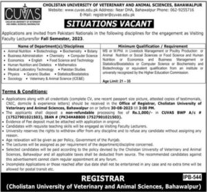 CUVAS Bahawalpur Jobs 2023
