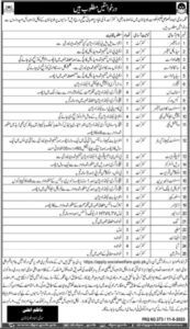 Social Welfare Department Quetta Jobs 2023
