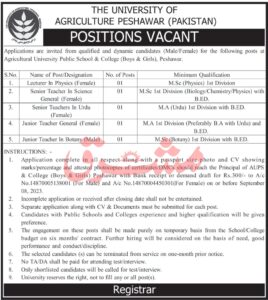 Jobs Available At Agriculture University Public School
